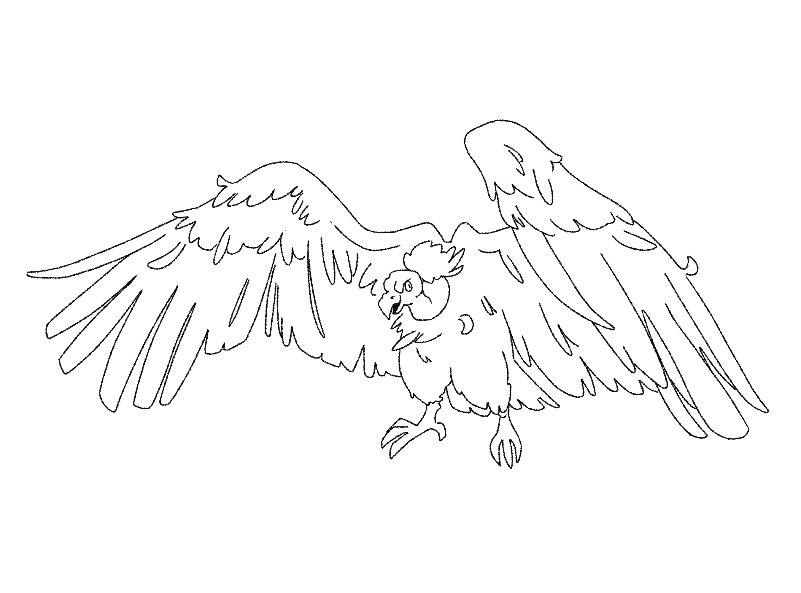 A Caw colouring outline