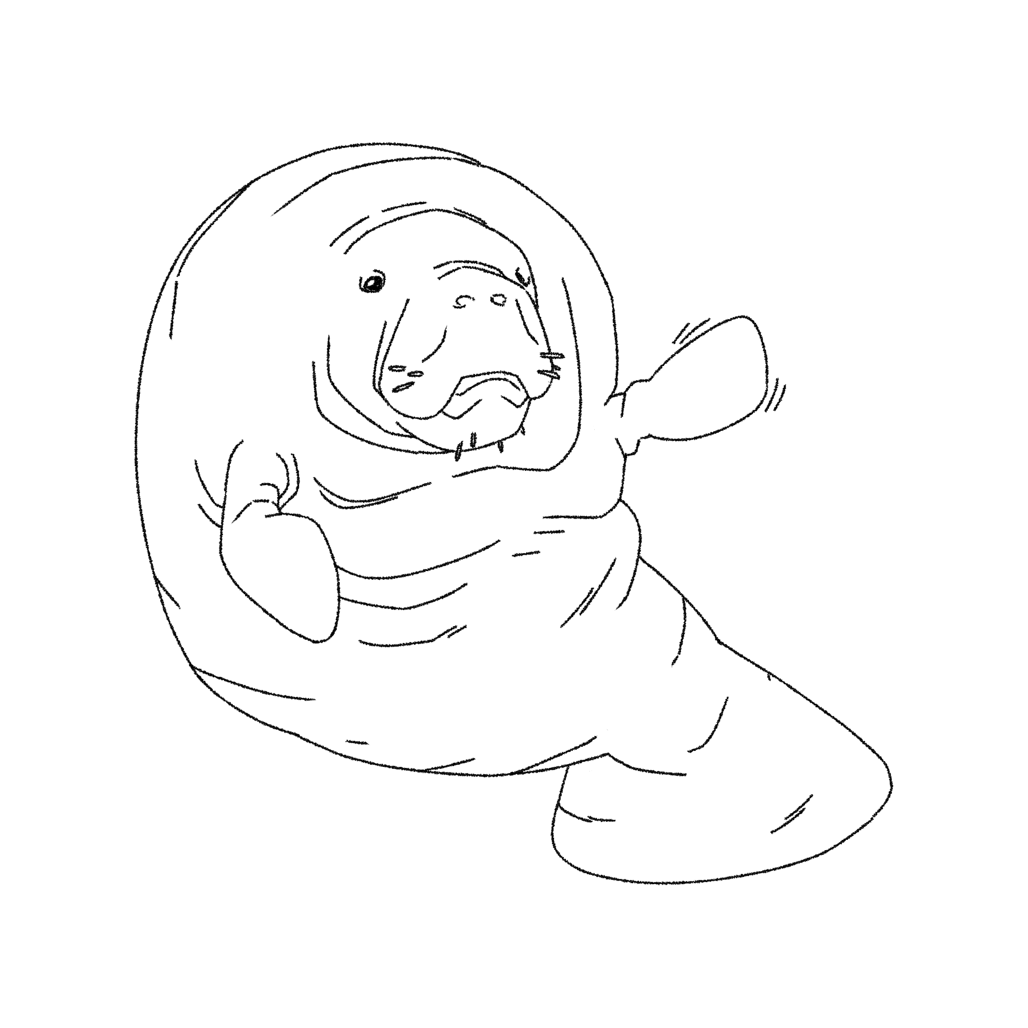 A Manatee colouring outline